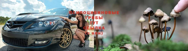 скорость Абаза