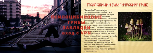 apvp Михайловск
