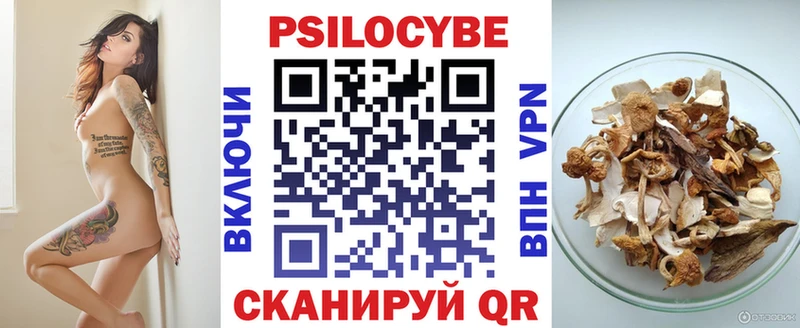 Псилоцибиновые грибы мухоморы  МЕГА tor  Орск 